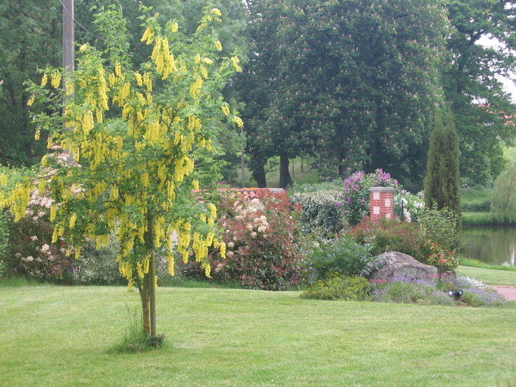 La Minaudiere Nueil-sous-les-Aubiers Exterior photo